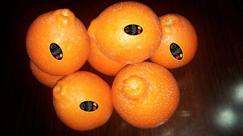 Minneola